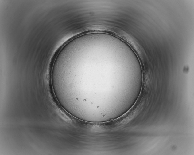 X0000102020787200808011423