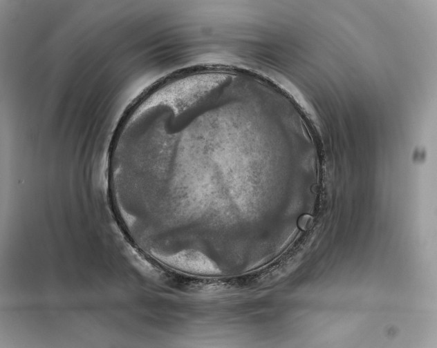 X0000102020791200808011423