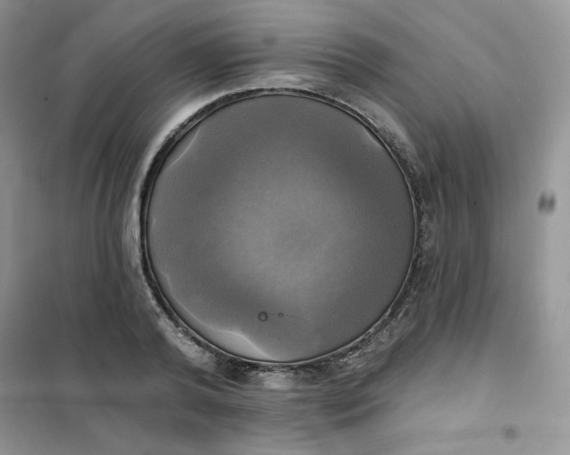 X0000102020792200808011423