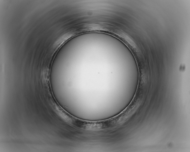 X0000102020793200808011423