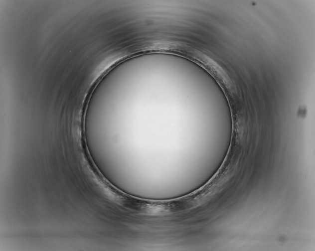 X0000102020794200808011423