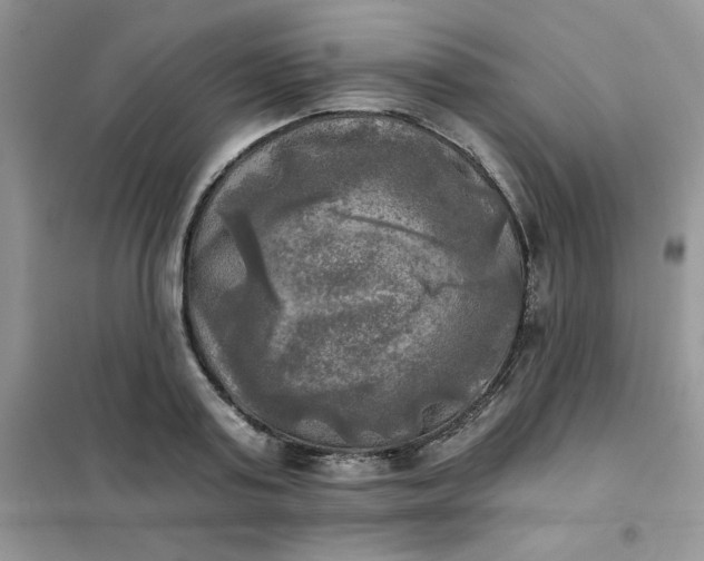 X0000102020795200808011423