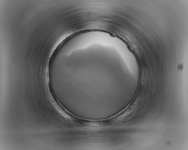 X0000102020796200808011423