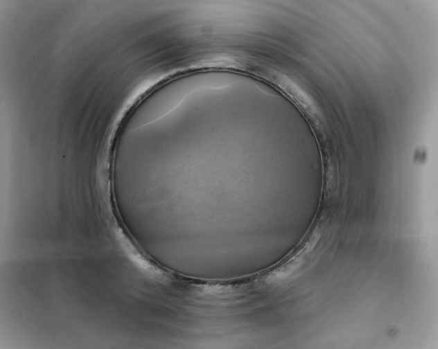 X0000102020800200808011423