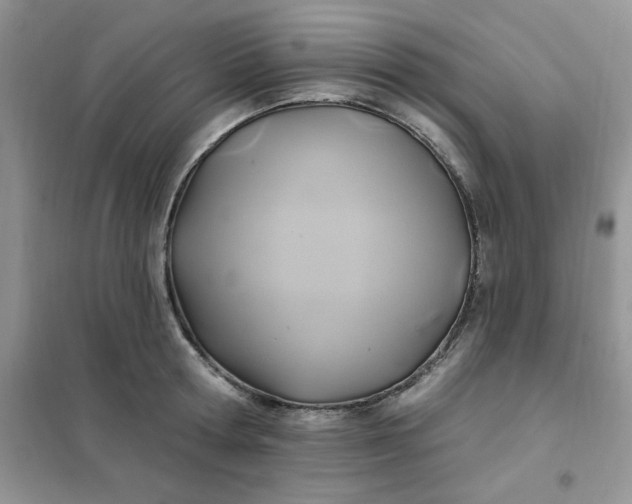 X0000102020802200808011423