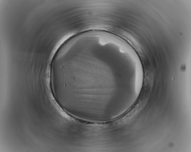X0000102020804200808011423