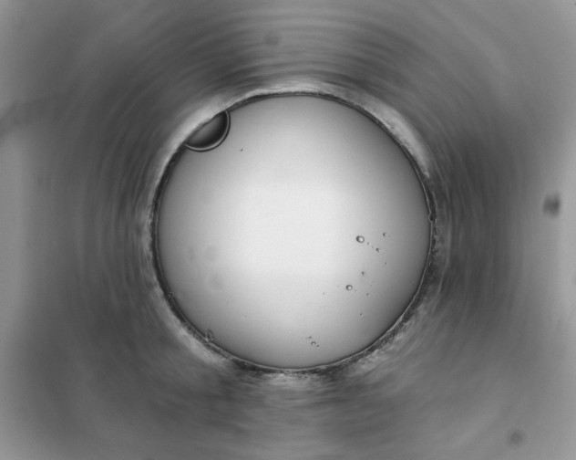 X0000102020805200808011423