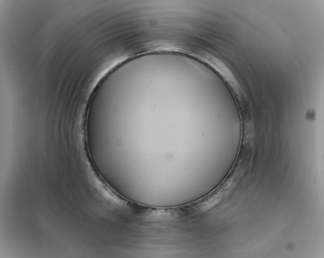X0000102020806200808011423