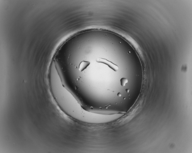 X0000102020807200808011423