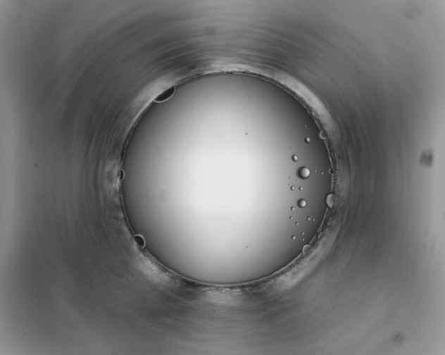 X0000102020809200808011422