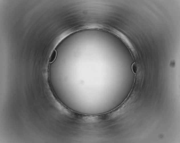 X0000102020810200808011422