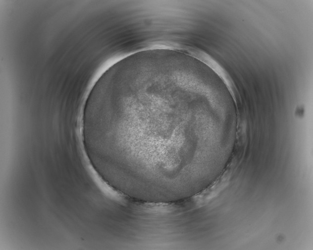 X0000102020811200808011422