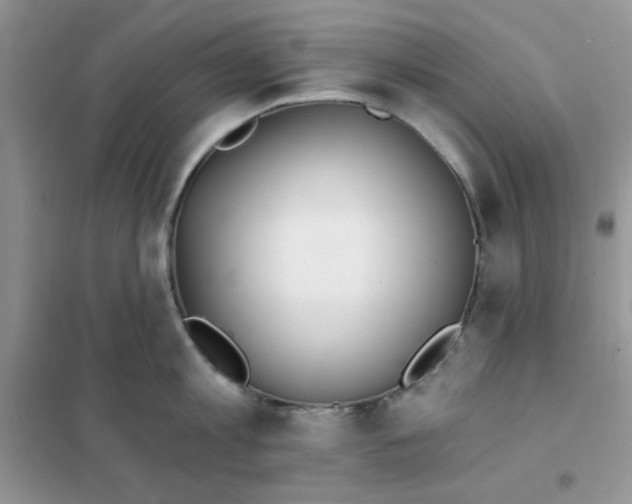 X0000102020813200808011422