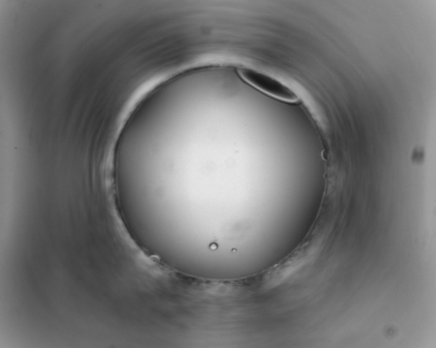 X0000102020815200808011422