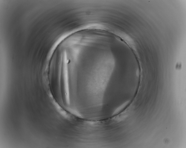 X0000102020816200808011422