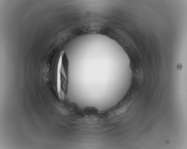 X0000102020818200808011421