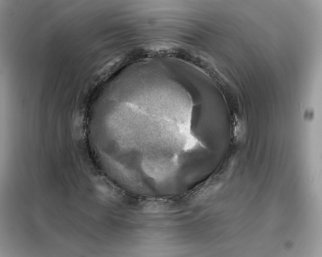 X0000102020819200808011421