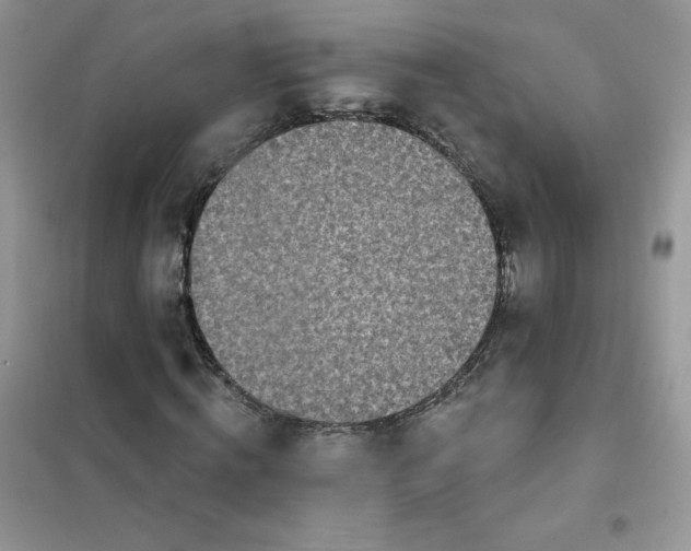 X0000102020820200808011421
