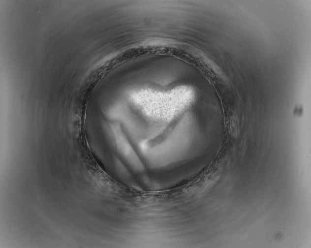 X0000102020821200808011421