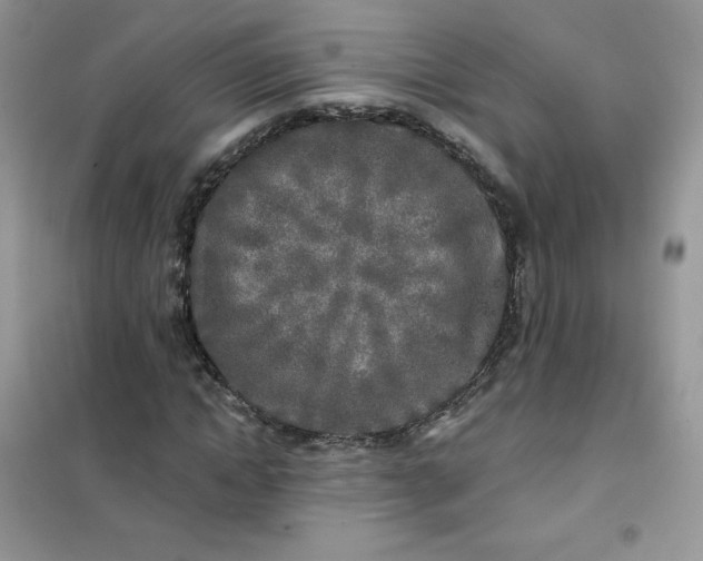 X0000102020822200808011421