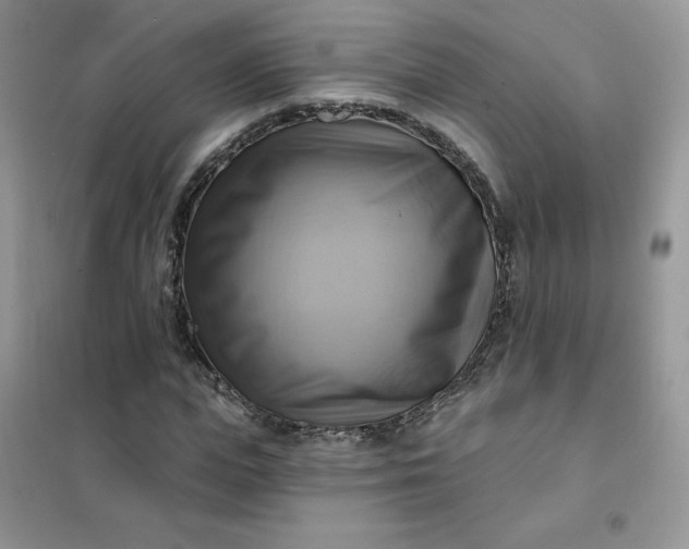 X0000102020823200808011421