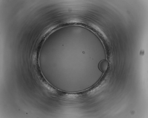 X0000102020825200808011421