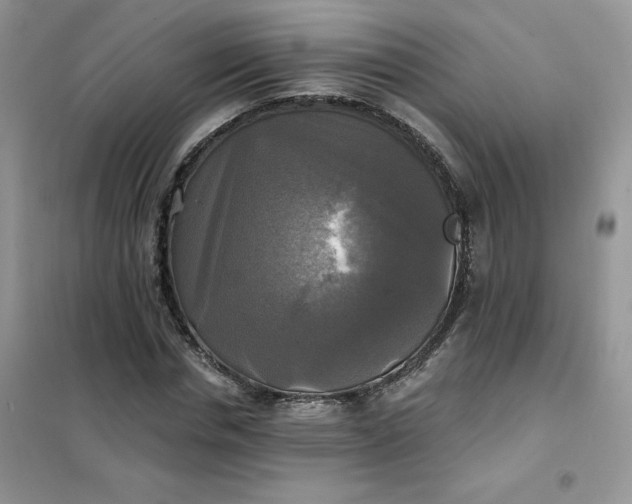 X0000102020826200808011422