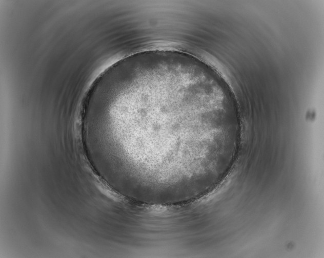 X0000102020827200808011422