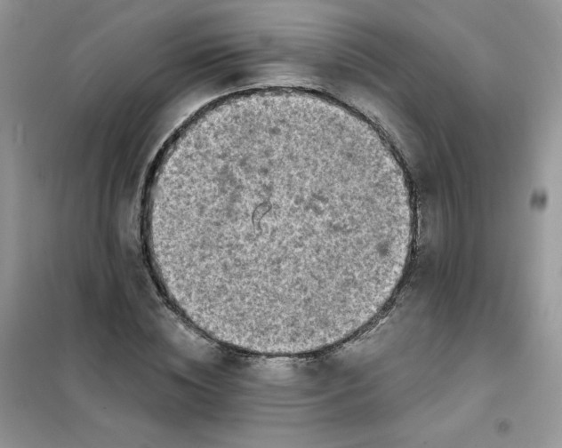 X0000102020828200808011422