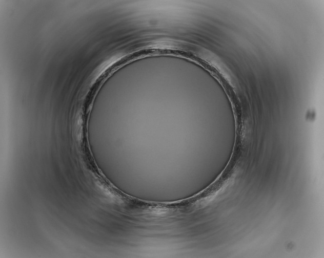 X0000102020829200808011422