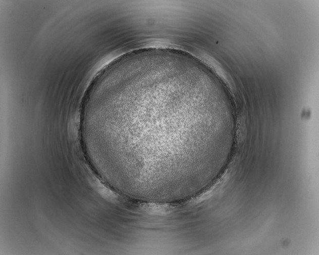 X0000102020831200808011422