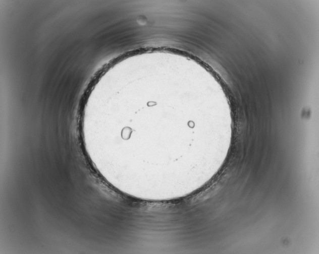 X0000102020832200808011422