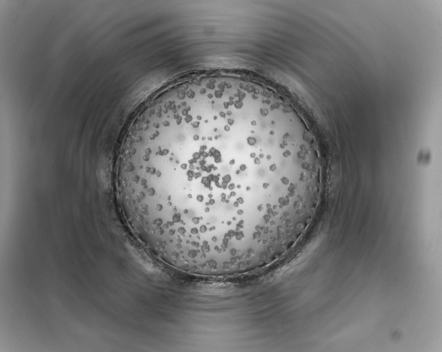 X0000102020833200808011422