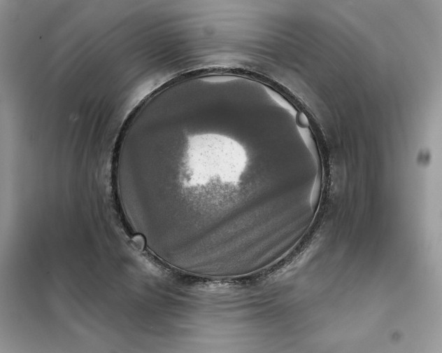 X0000102020834200808011422