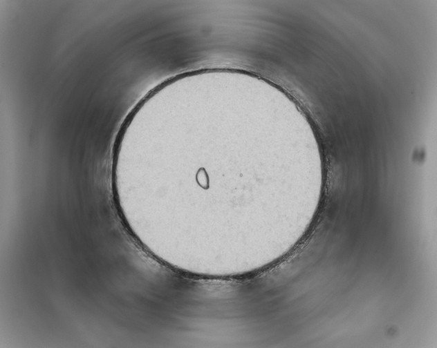 X0000102020836200808011422