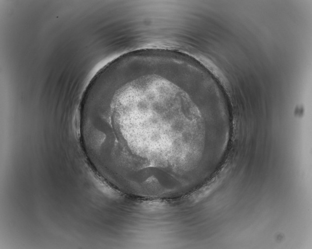 X0000102020838200808011422
