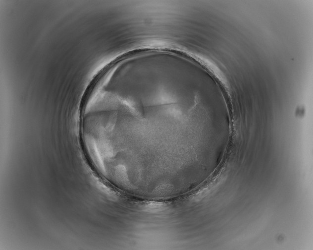 X0000102020839200808011422