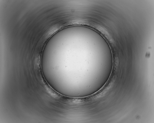 X0000102020841200808011422