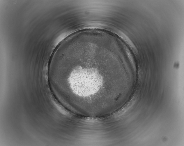 X0000102020842200808011422