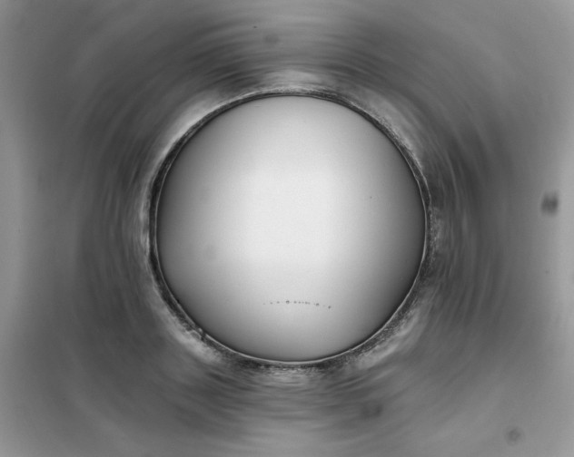 X0000102020843200808011422
