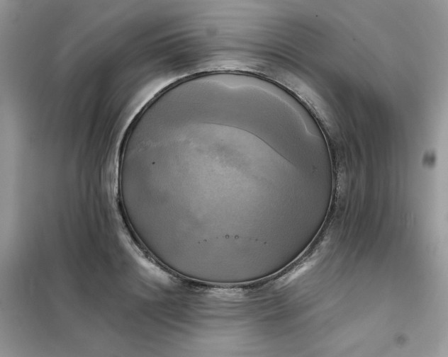 X0000102020844200808011422