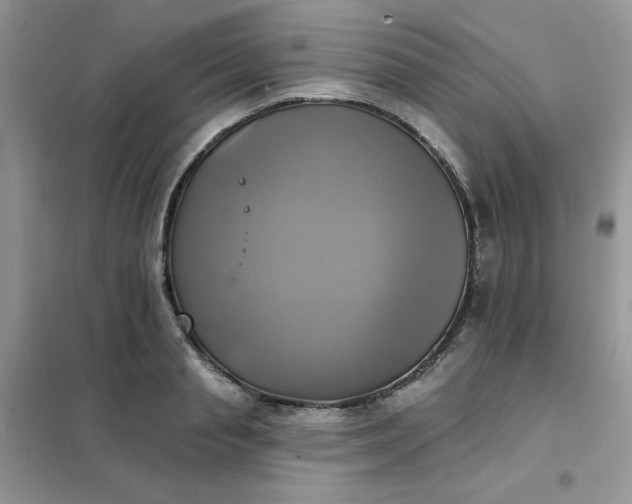 X0000102020845200808011422