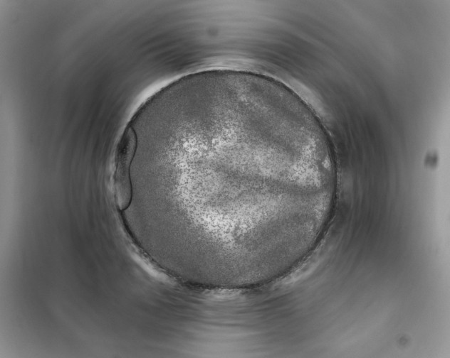 X0000102020846200808011422