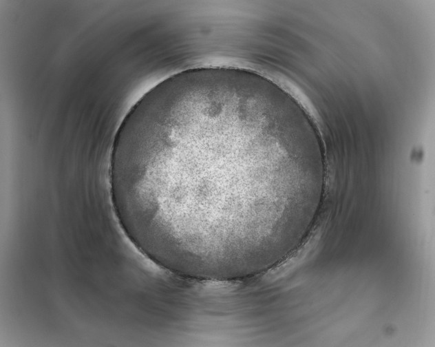 X0000102020847200808011422