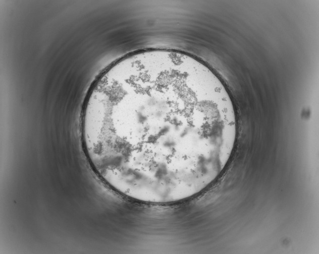 X0000102020848200808011422