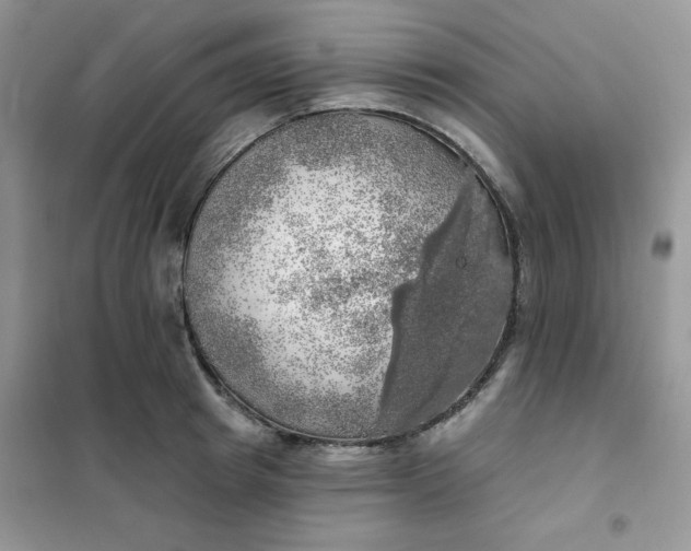 X0000102020849200808011422
