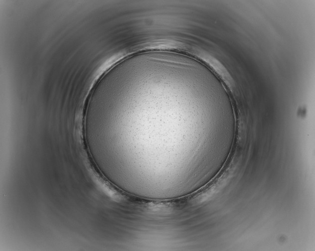 X0000102020850200808011422