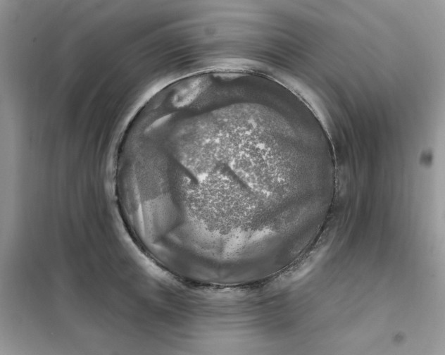 X0000102020851200808011422