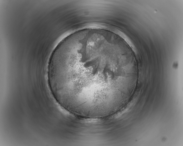 X0000102020853200808011422