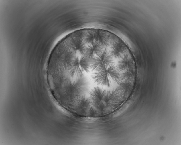 X0000102020854200808011422
